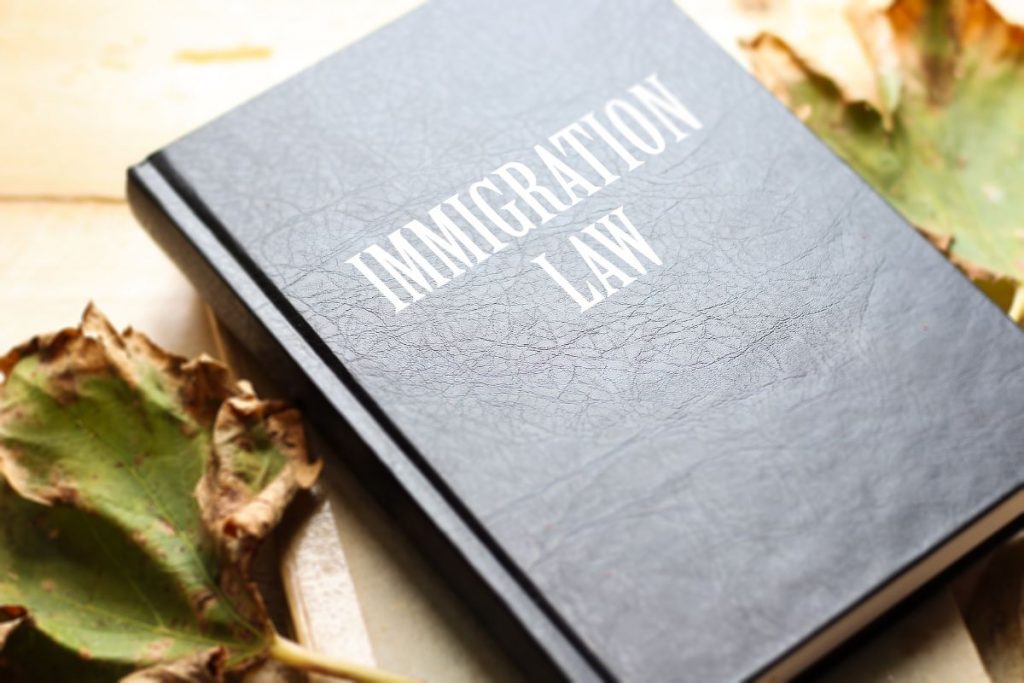 UAE immigration laws
